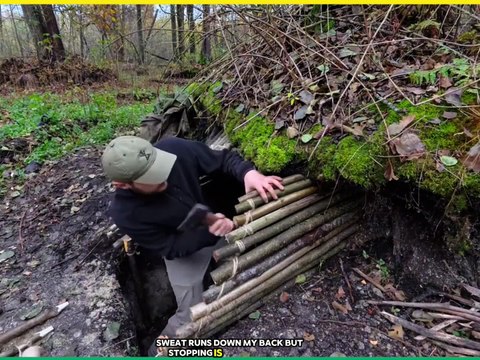 Camping Where Wild Animals Live