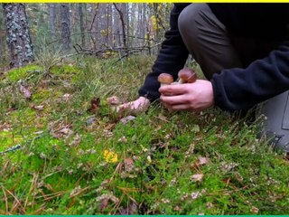 From Digging Ground to Sleeping Underground