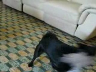 LUNA S OCCUPE COMME ELLE LE PEUT !