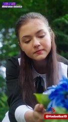 Error De Origen Amor Real