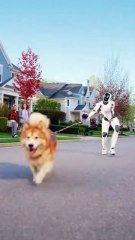Robot Walking Dog but Dog Pulls Robot 🤖🐕 | Funny AI Moment
