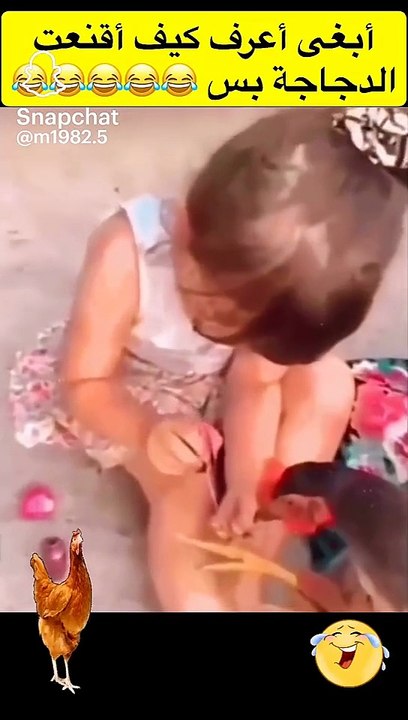 Funny Moments