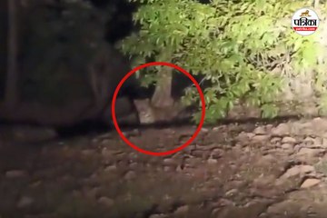 तेंदुए की मौजूदगी से ग्रामीणों में भय