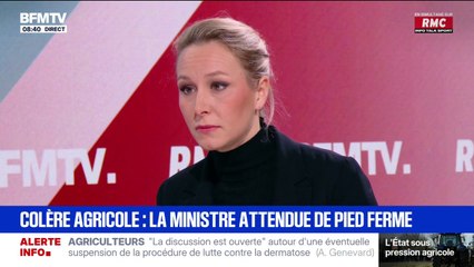 "Une fois de plus, on a eu un retard à l'allumage": Marion Maréchal fustige la "méthode gouvernementale" face à la dermatose nodulaire