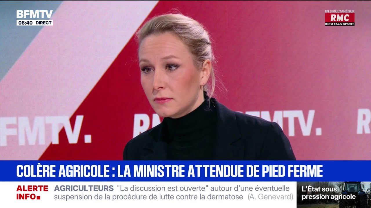 "Une fois de plus, on a eu un retard à l'allumage": Marion Maréchal fustige la "méthode gouvernementale" face à la dermatose nodulaire