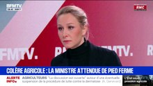 "Une fois de plus, on a eu un retard à l'allumage": Marion Maréchal fustige la "méthode gouvernementale" face à la dermatose nodulaire