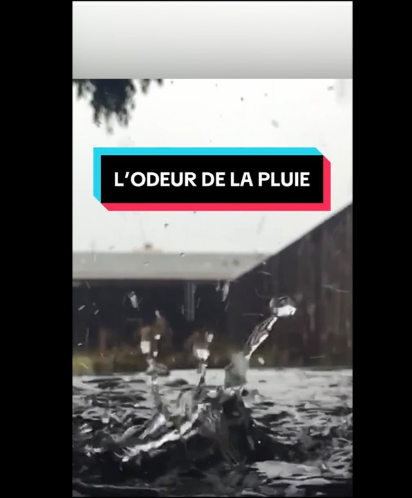 L'odeur de la pluie