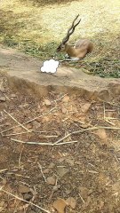 Is this what your thoughts do to you?