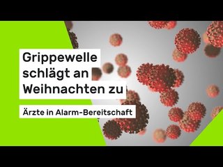 Grippewelle schlägt an Weihnachten zu - Ärzte in Alarm-Bereitschaft