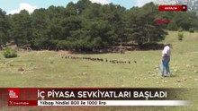 Yılbaşı hindisi 800 ile 1000 lira