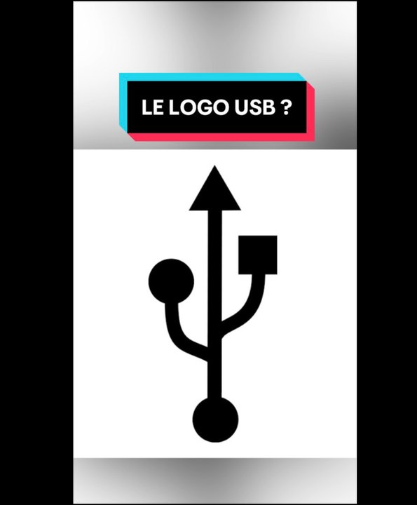 Pourquoi le logo USB ?