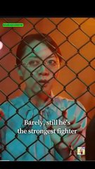 My Ceo Mommy And Kung Fu Daddy