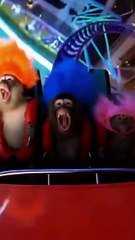 Three Monkeys Ride Roller Coaster And SCREAM! 😱🎢 | Hilarious Primate Adventure