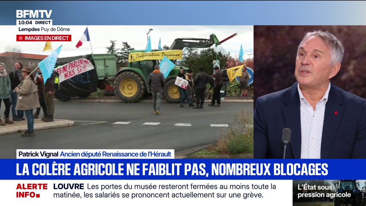 Colère agricole: "On n'a pas retenu la leçon de la crise des gilets jaunes", estime Patrick Vignal, ancien député Renaissance