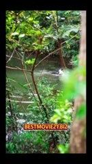 Drama Dubbing Indo : Kala Penyesalan Mengetuk Hati ( EP2 )