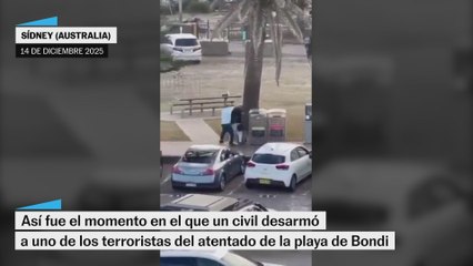 El momento en el que un frutero desarmó a uno de los atacantes de la playa de Bondi