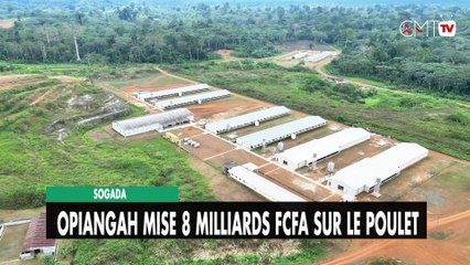 [#Reportage] SOGADA : Hervé Patrick Opiangah mise 8 milliards FCFA sur le poulet