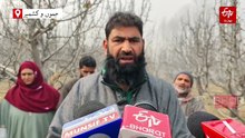 جنوبی کشمیر کے اضلاع میں سیب کے درختوں کو کاٹنے کا سلسلہ بدستور جاری، عوام میں تشویش کی لہر