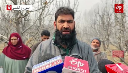 جنوبی کشمیر کے اضلاع میں سیب کے درختوں کو کاٹنے کا سلسلہ بدستور جاری، عوام میں تشویش کی لہر