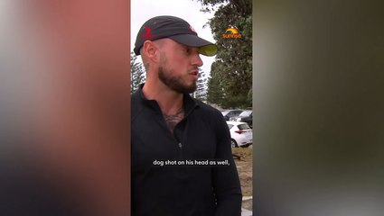 Bondi Beach attack witness recalls moment he ‘stomped’ on shooter’s head