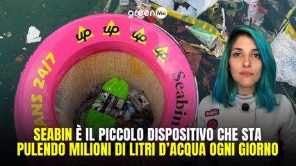 Seabin è il piccolo dispositivo che sta pulendo milioni di litri d'acqua ogni giorno