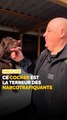 Binouze est la terreur des narcotrafiquants ! Ce cocker de la police municipale est un redoutable détecteur de drogue. Son maître Olivier nous a raconté le parcours de ce petit chien exceptionnel 🐕🎖️