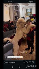 Guendalina tavassi story