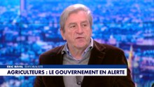 Eric Revel : «Personne n'est capable de contrôler quoi que ce soit»