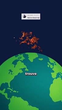 Ce détail de l'anatomie du cheval peut le tuer ! #cheval #estomac #animaux #nature #humour