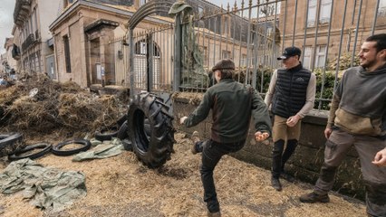 Dermatose nodulaire : des agriculteurs remontés multiplient les actions dans le Sud-Ouest