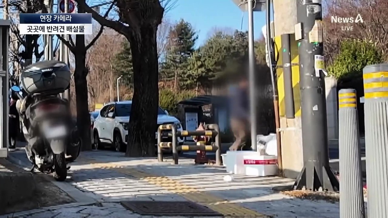 [현장 카메라]치우는 사람 따로?…개똥 전쟁