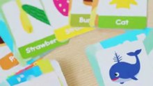 Talking Flash Cards for Toddlers 🧠 | Montessori Learning Toy | Trend Pickz