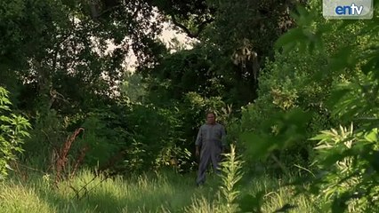 True Detective Season 2 – Colin Farrell and Taylor Kitsch