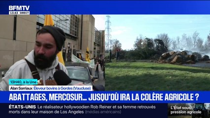 "On n'est pas à l'abri": un agriculteur inquiet à cause de la lenteur de la vaccination contre la dermatose nodulaire