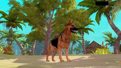 Life Is Short, Enjoy Every Moment