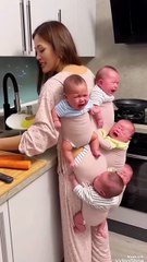 “When the green parrot meets the boss cat 🦜🐱😂” Pure chaos. Pure comedy!