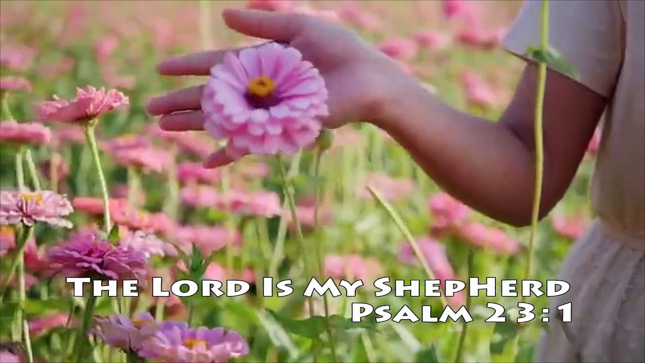 Growing In Christ- Something Every Believer Should Desire To Do