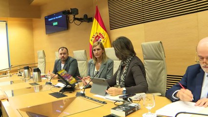 Pradas se emociona en el Congreso al pedir perdón a las víctimas de la dana y admite fallos