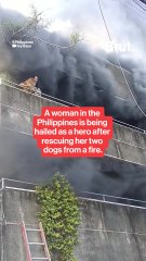 A woman in the Philippines is being hailed as a hero after rescuing her two dogs from a fire.