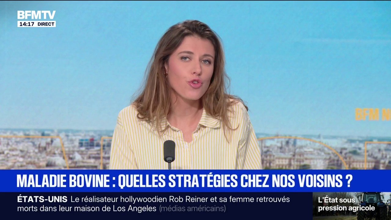 Dermatose nodulaire contagieuse : comment agissent nos voisins européens ?