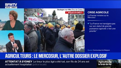 Mercosur: "le compte n'y est pas pour les agriculteurs français", estime l'Elysée