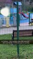 Dans une aire de jeux, une maman est absorbée par son téléphone, laissant son enfant, s’éloigner sans surveillance