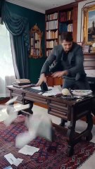 ＂Are you my Daddy？＂ Homeless Girl's Plea Breaks Mafia Boss's Heart 💔 DADDY, MOMMY IS WAITING FOR YOU