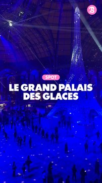 Spot : Le grand palais des glaces