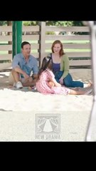 Accidentally Brought a CEO Home (2025) - FULL | Reelshort