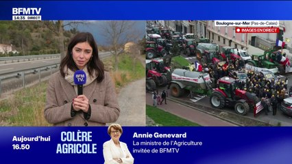 Dermatose nodulaire contagieuse: un nouveau cas détecté dans l'Aude