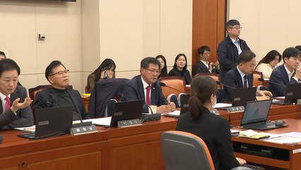 개인정보 유출 시 '매출 10%' 과징금...정무위 법안소위 통과 / YTN