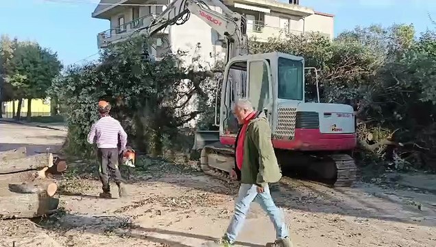 Image from field_mediaid