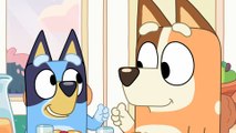 Bluey au cinéma : Collection “En Cuisine” Bande-annonce VF