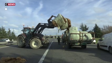 Crise agricole : «C'est une vie de travail», en attendant la ministre de l'Agriculture les éleveurs ne décolèrent pas